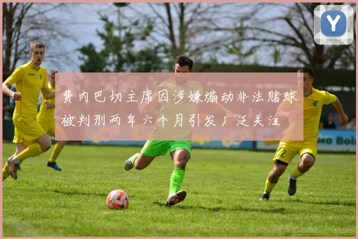 费内巴切主席因涉嫌煽动非法赌球被判刑两年六个月引发广泛关注